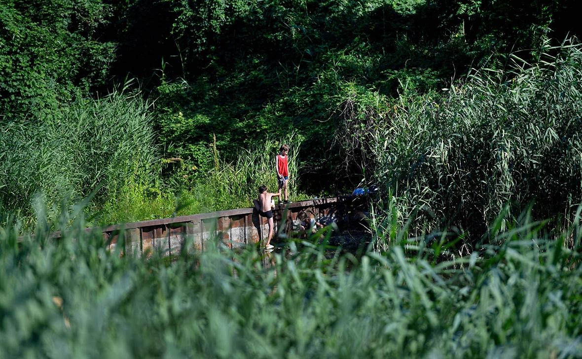 Павел Лисицын / РИА Новости