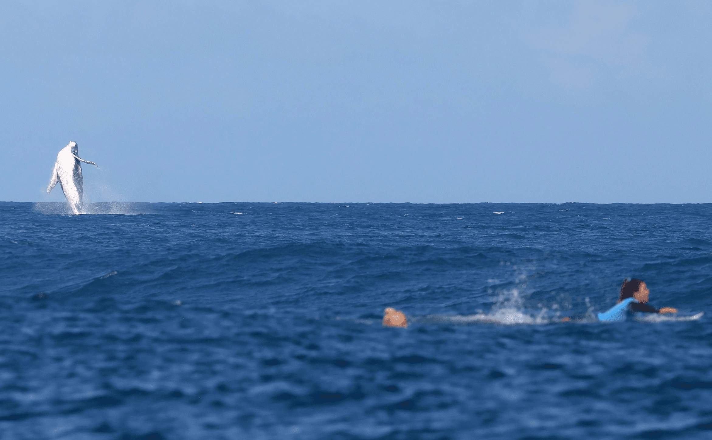 REUTERS/Carlos Barria