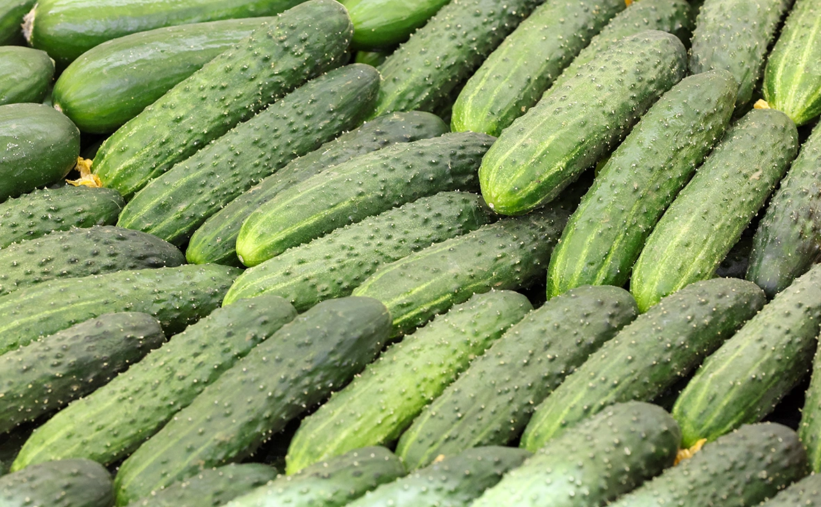 Алексей Белкин / NEWS.ru / РБК