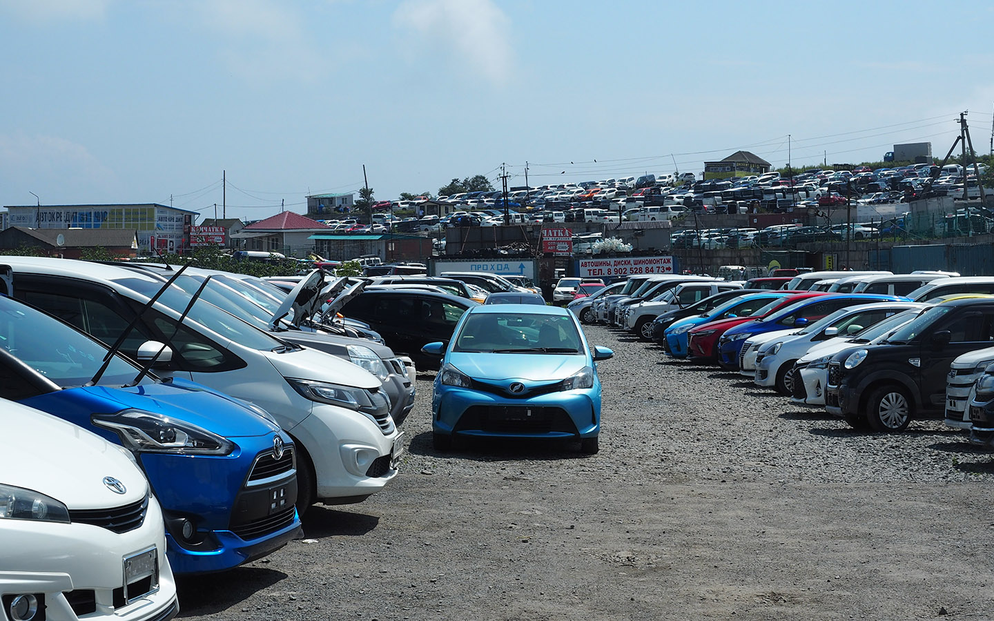 Фото: Alexander Gafarro / Shutterstock / FOTODOM