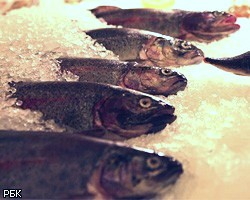 ФАС: На каждом кг рыбы посредники "наваривают" более 100 руб.