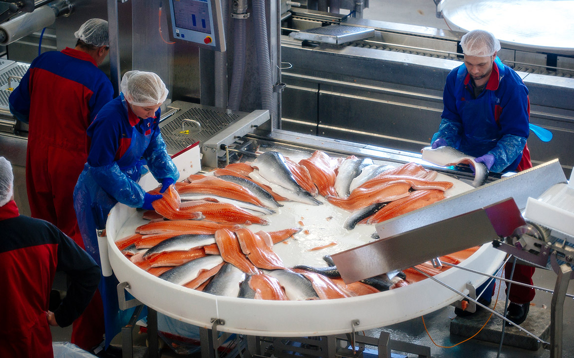 «Русская аквакультура» восстановила бизнес после гибели рыбы