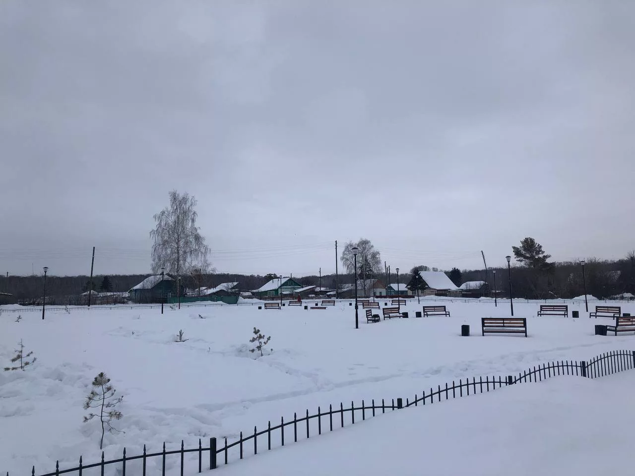 пресс-служба прокуратуры Новосибирской области