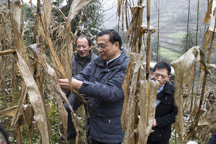 Ли Кэцян осматривает посевы в провинции Хубэй во время инспекционной поездки в декабре 2012 года