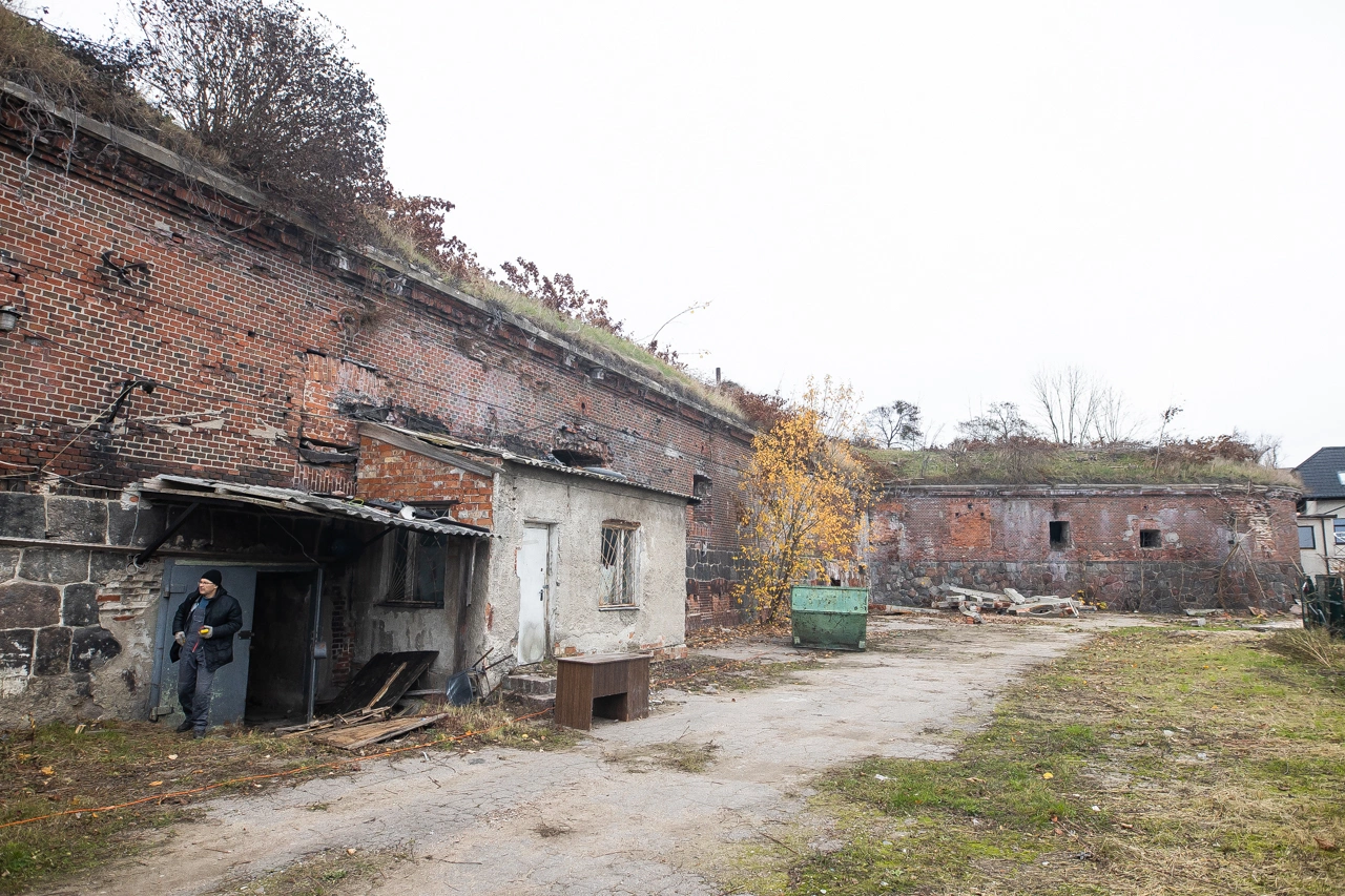 Александр Подгорчук