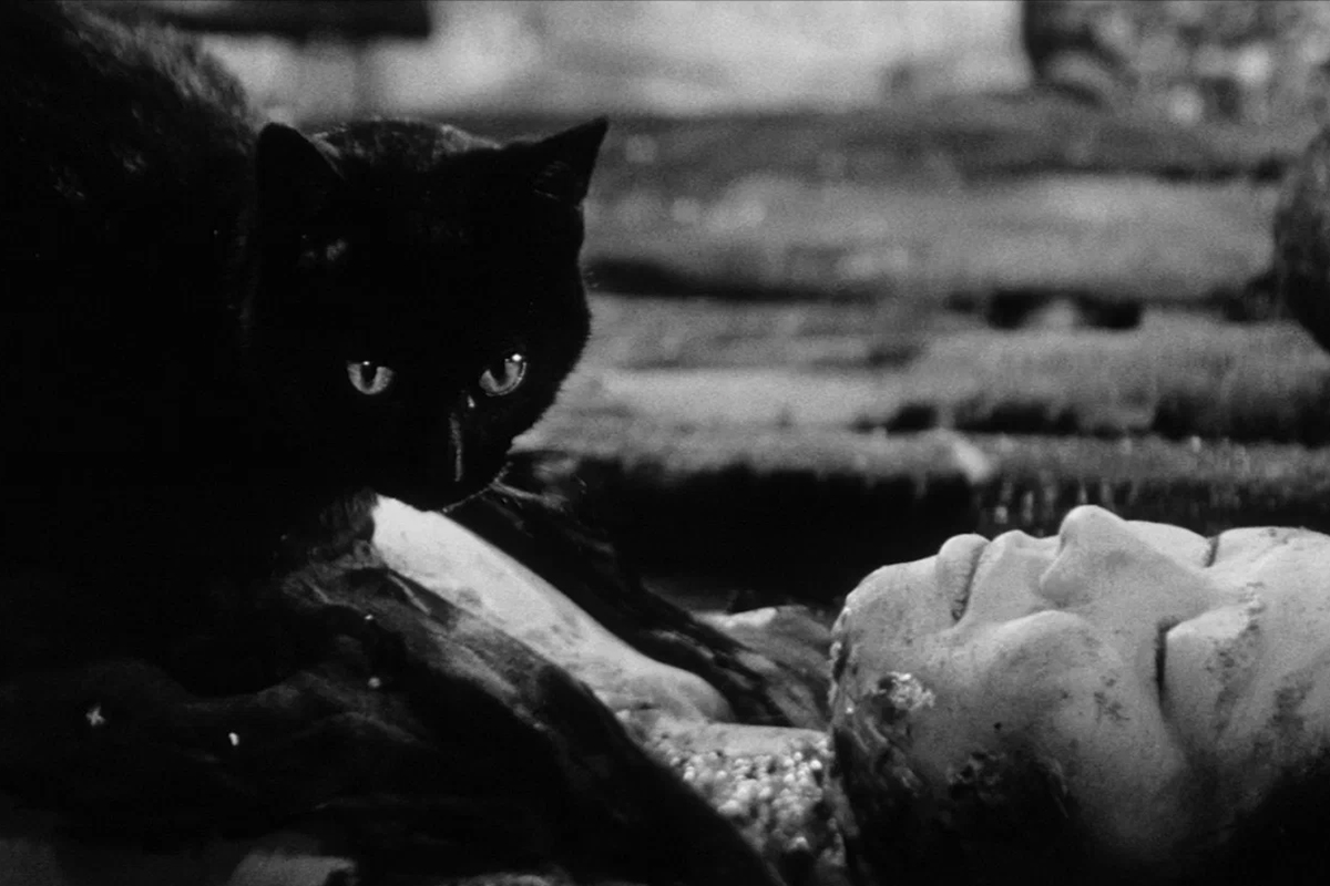 <p>Кадр из фильма &laquo;Черные кошки в бамбуковых зарослях&raquo;, 1968 год</p>