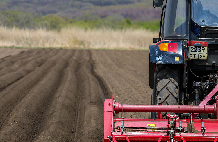 пресс-служба правительства Приморского края