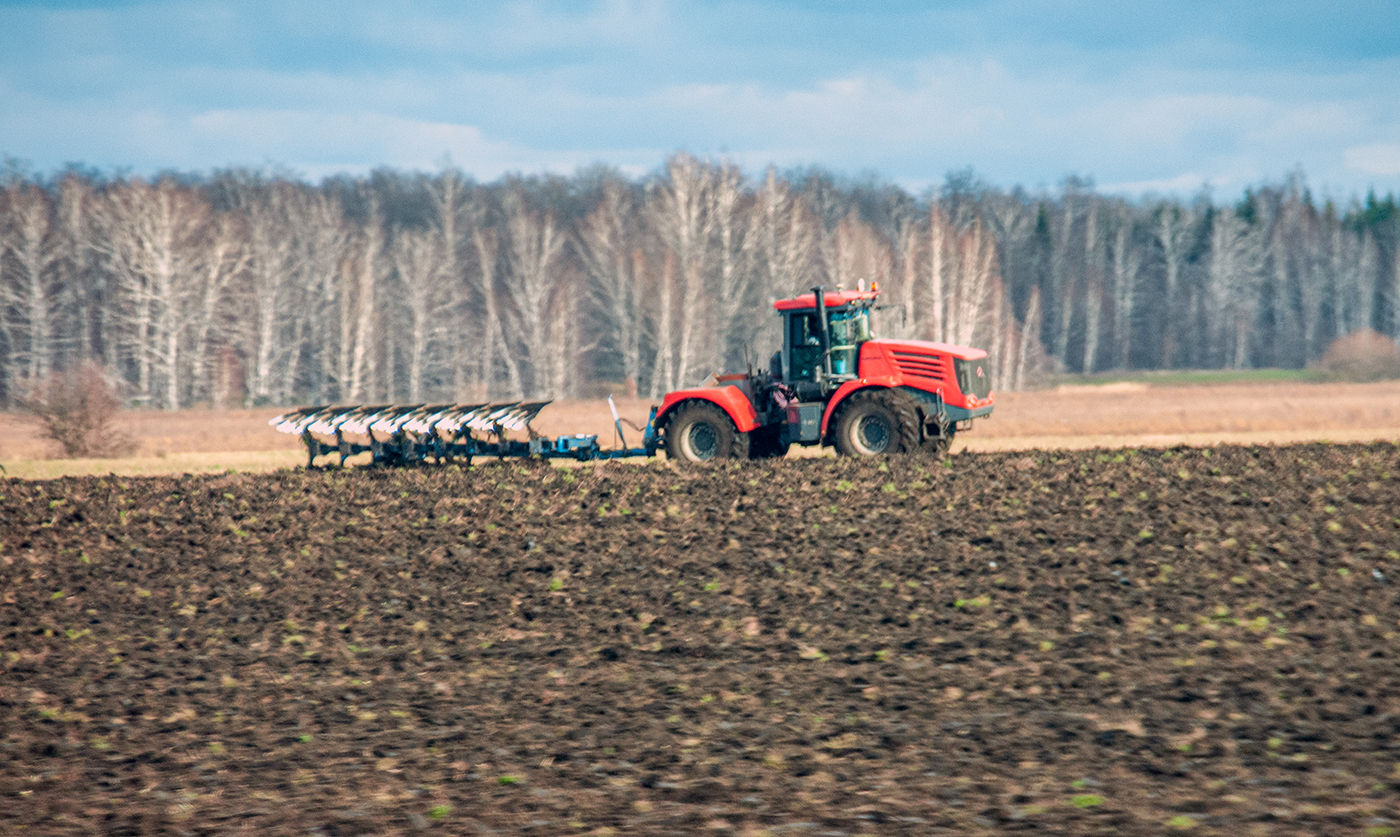 Фото: globallookpress.com, Svetlana Vozmilova