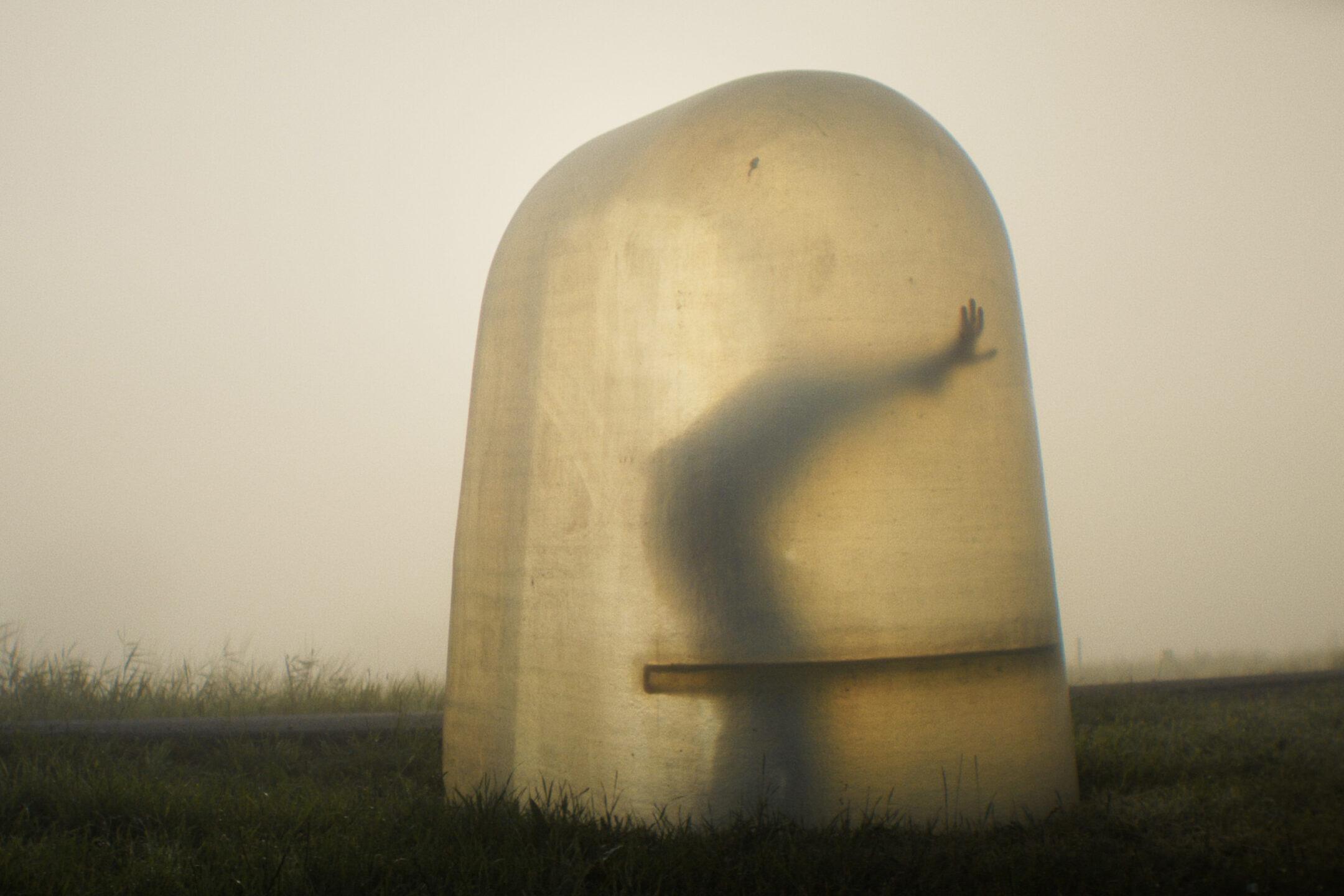 Роттердамский фестиваль-2026: эпидемии, вирусы и Ян Гэ