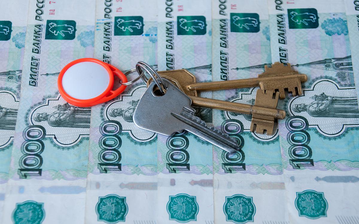 Фото: Beliakina Ekaterina / Shutterstock / FOTODOM