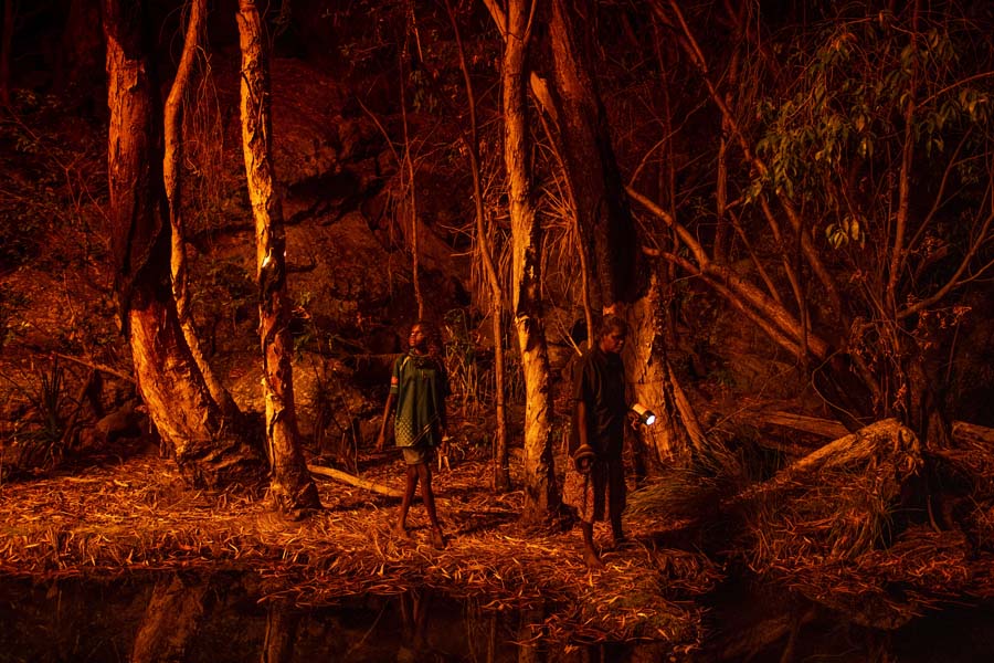 На фото: люди поджигают кору деревьев, чтобы создать естественный источник света и облегчить охоту на бородавчатых змей. Арнемленд, Австралия, 22 июля 2021 года