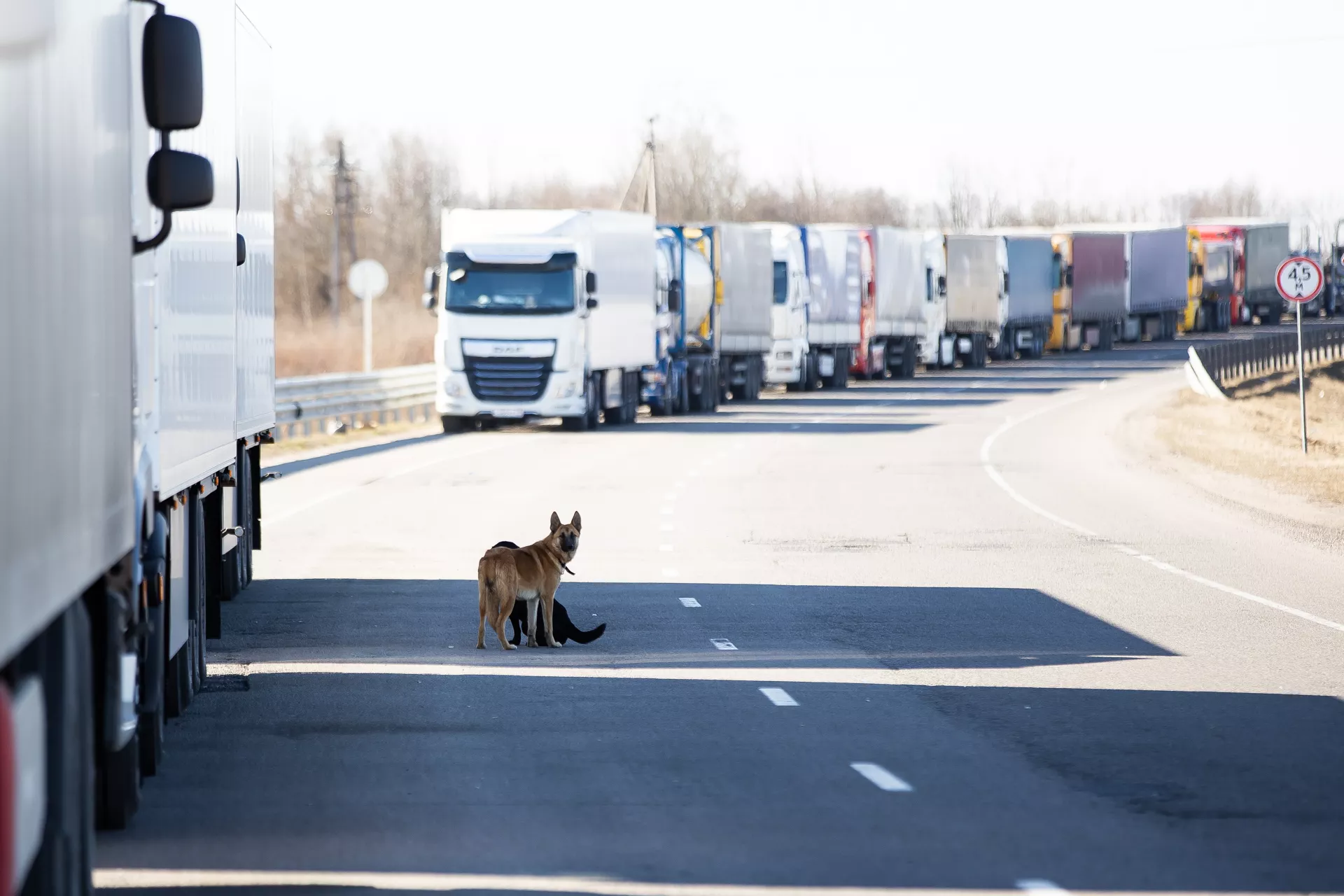 Александр Подгорчук
