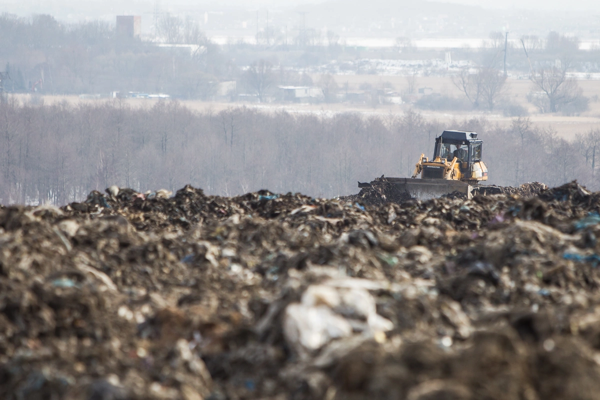 Александр Подгорчук