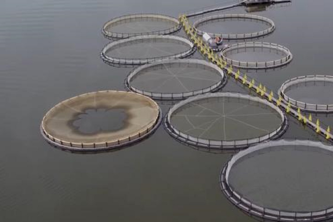 С аквафирмы Череповца могут взыскать 45 млн рублей по делу Блиновской