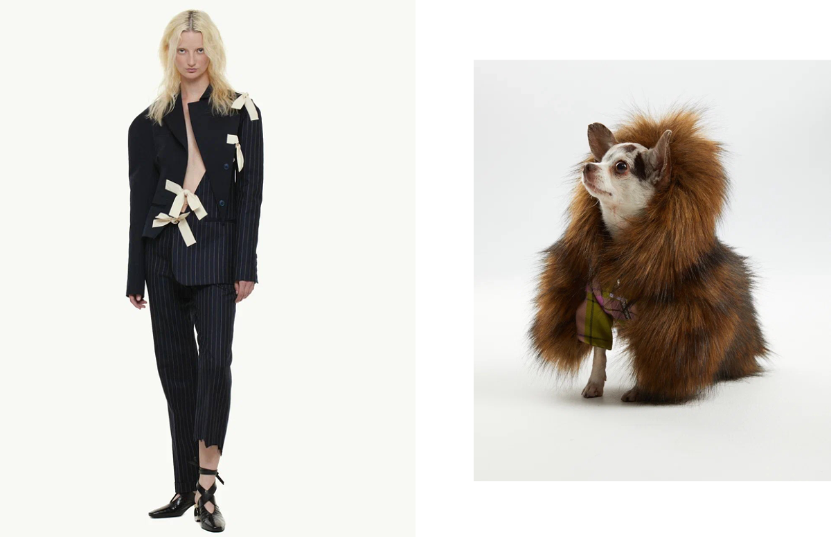 Ассиметричный костюм Jacquemus, шуба для собаки Pet Subject х RomaUvarovDesign