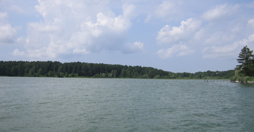 РБК Новосибирск