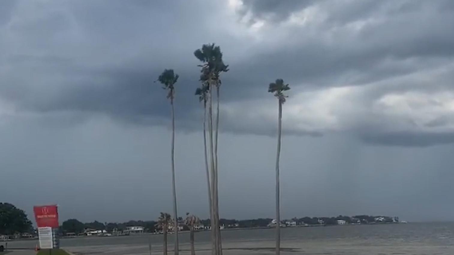 Ураган «Идалия» приближается к штату Флорида. Видео