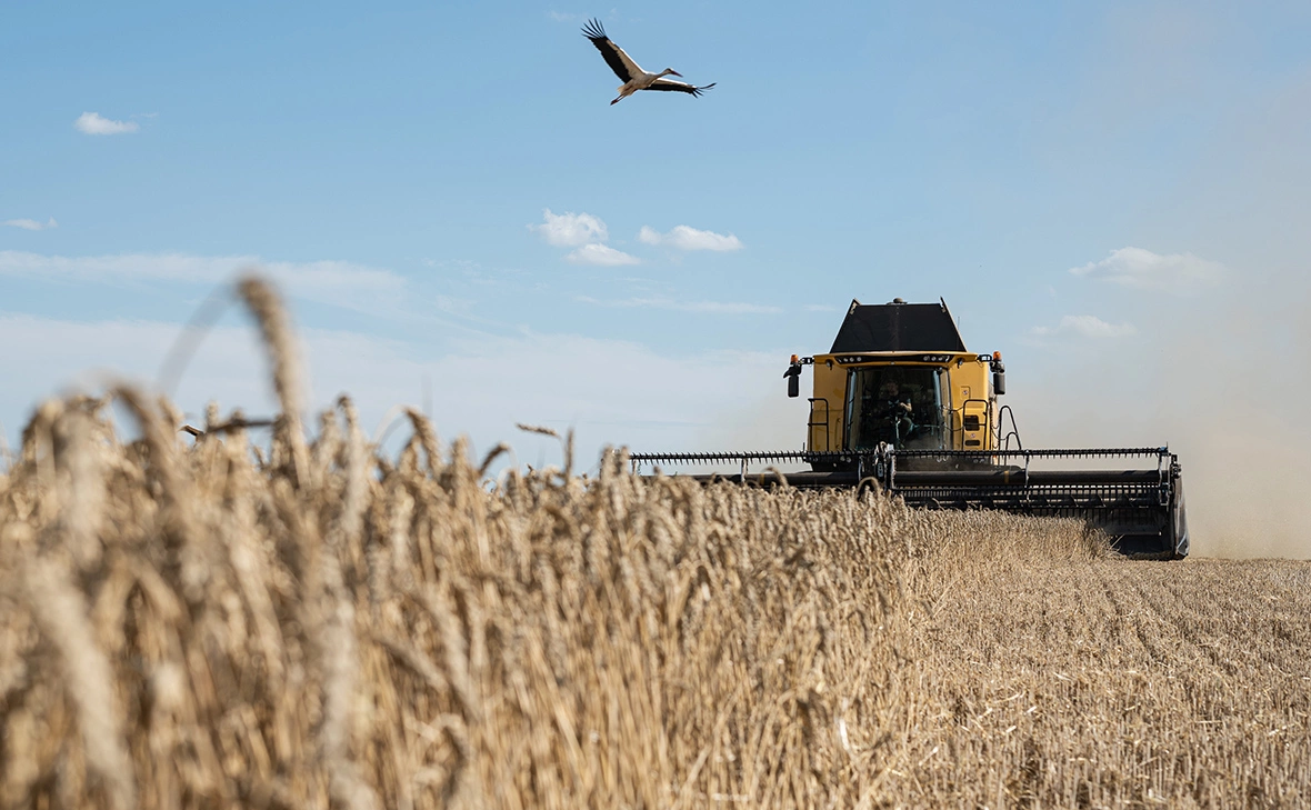 Алексей Фурман / Getty Images