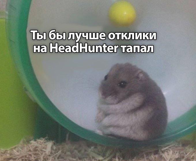 Игра Hamster Kombat вдохновила людей на создание мемов