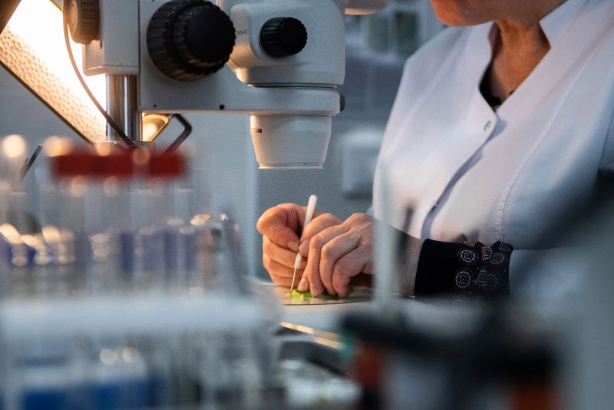 Анна Майорова / РИА URA.RU