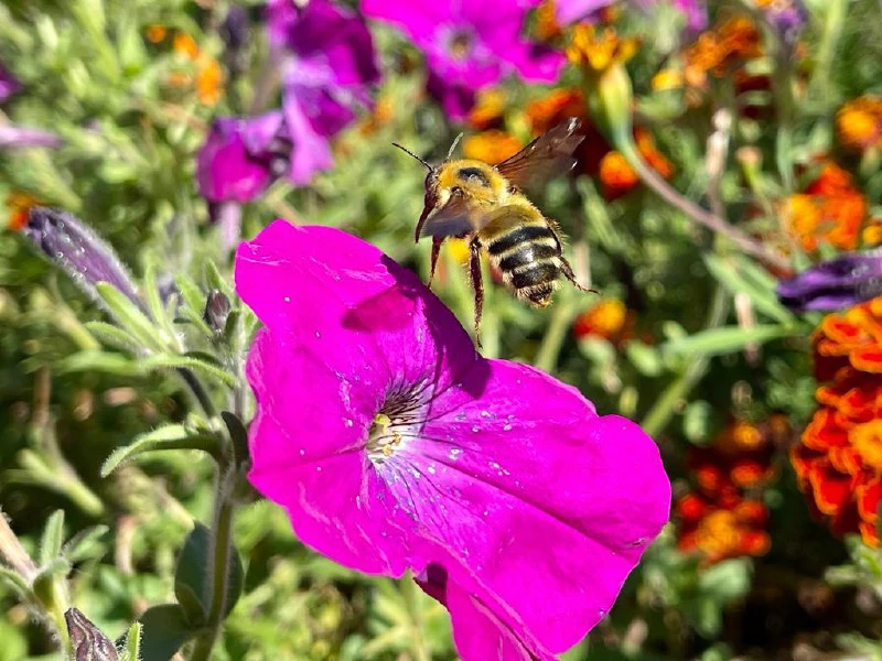 РБК Приморье