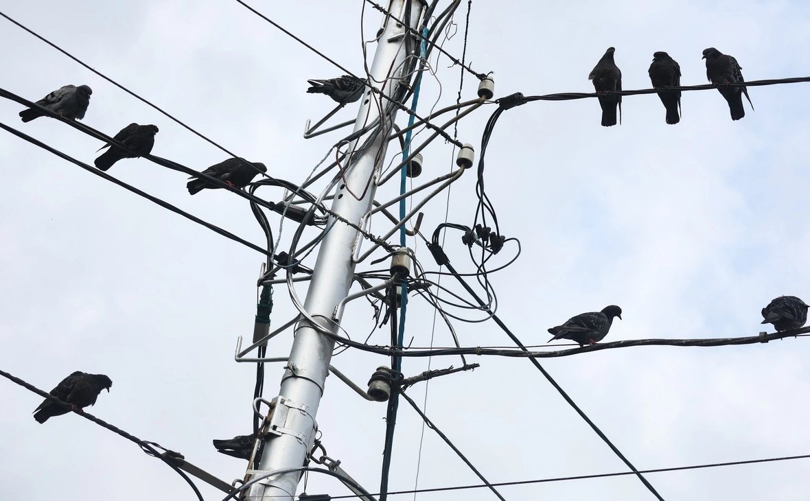 Сергей Фадеичев / ТАСС