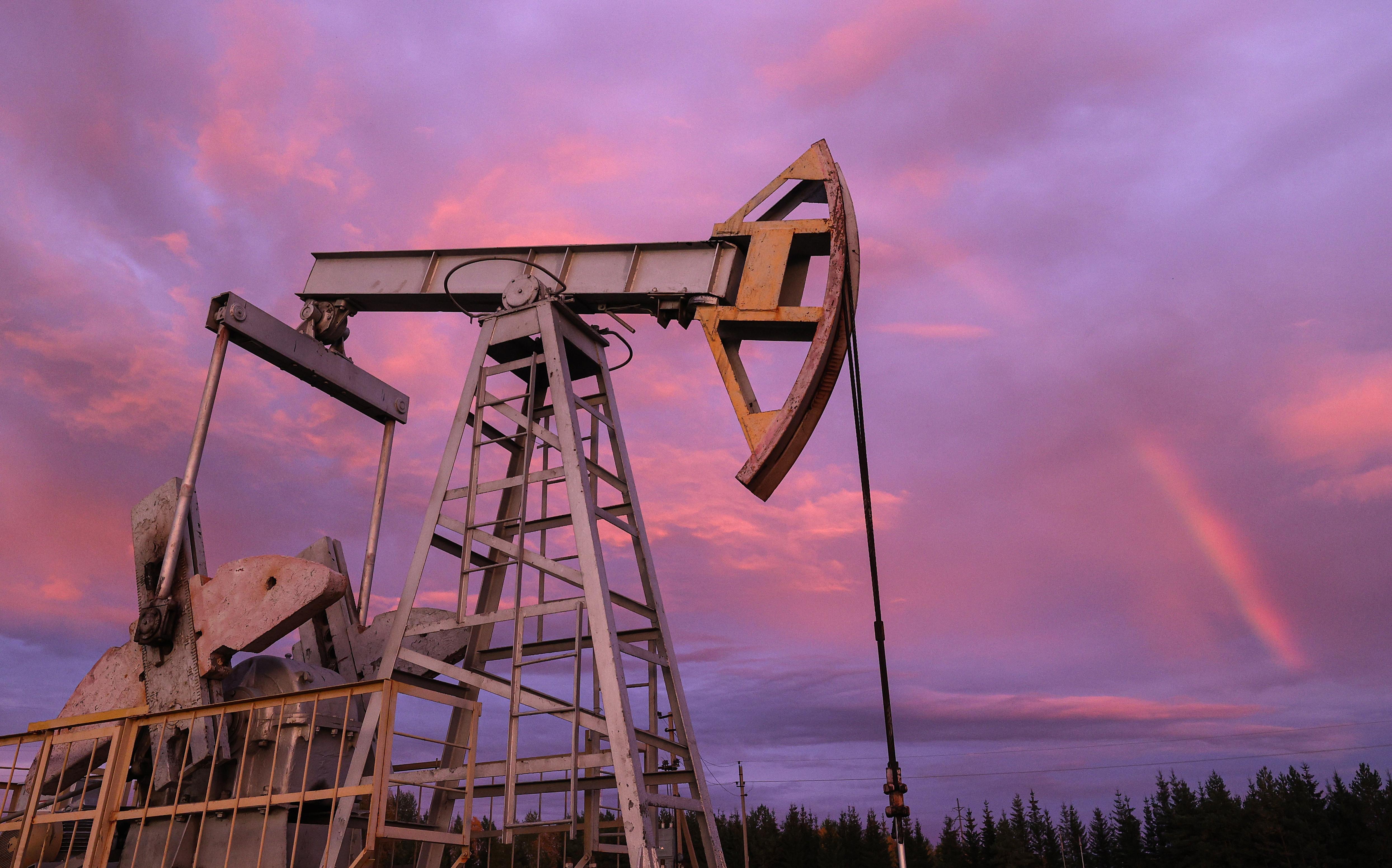 WSJ узнала о попытке США отложить решение ОПЕК+ о снижении добычи нефти