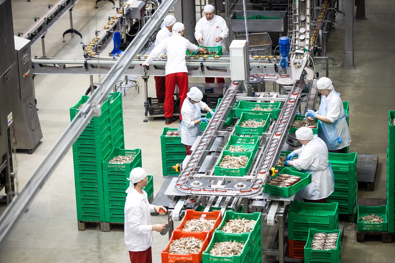 Александр Подгорчук