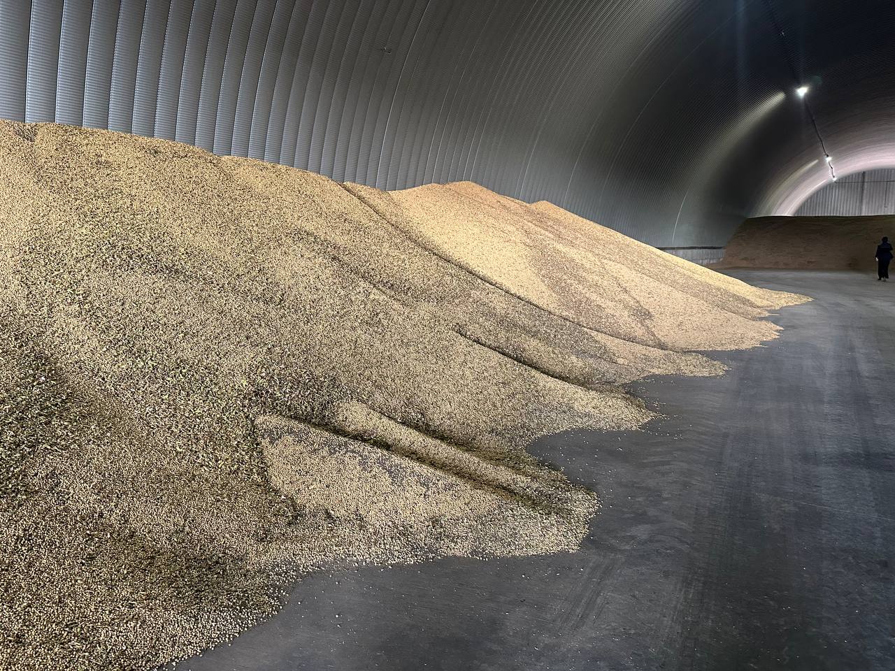 Фото: РБК Татарстан