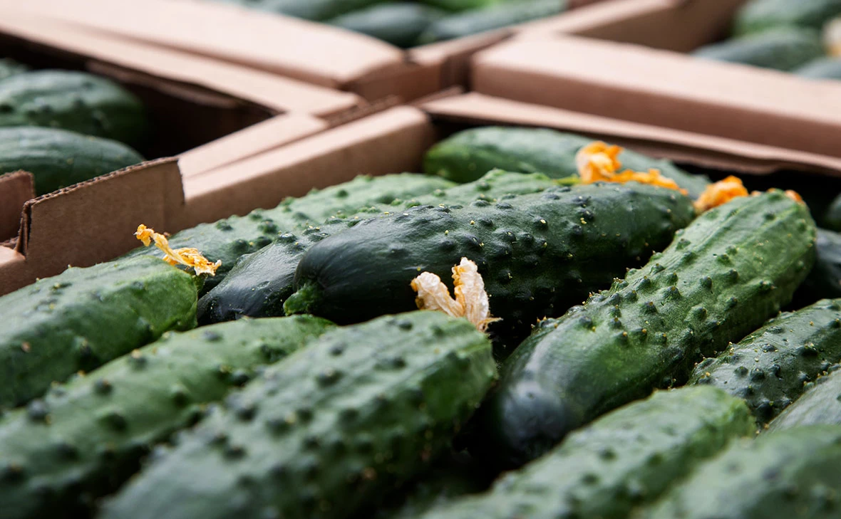 fortton / Shutterstock