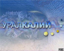 "Уралкалий" проведет IPO на уровне 2,8-3,5 долл. за акцию