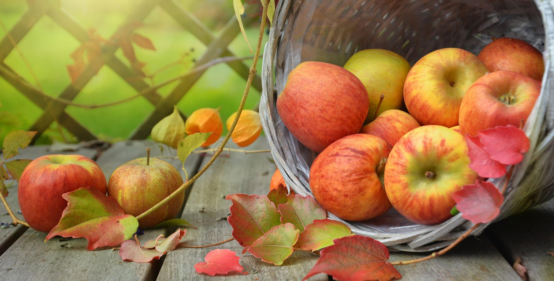 Фото: Rebekka D/Pixabay 