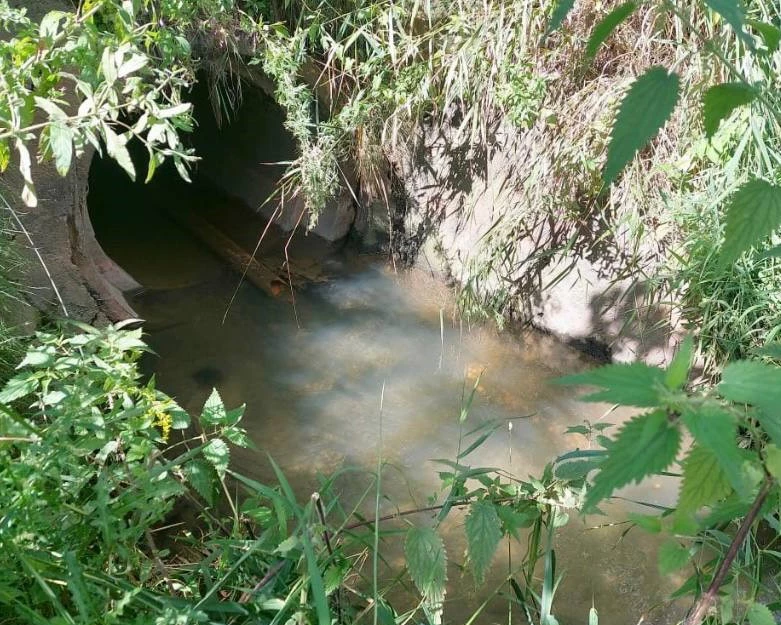 телеграм-канал минприроды Калининградской области