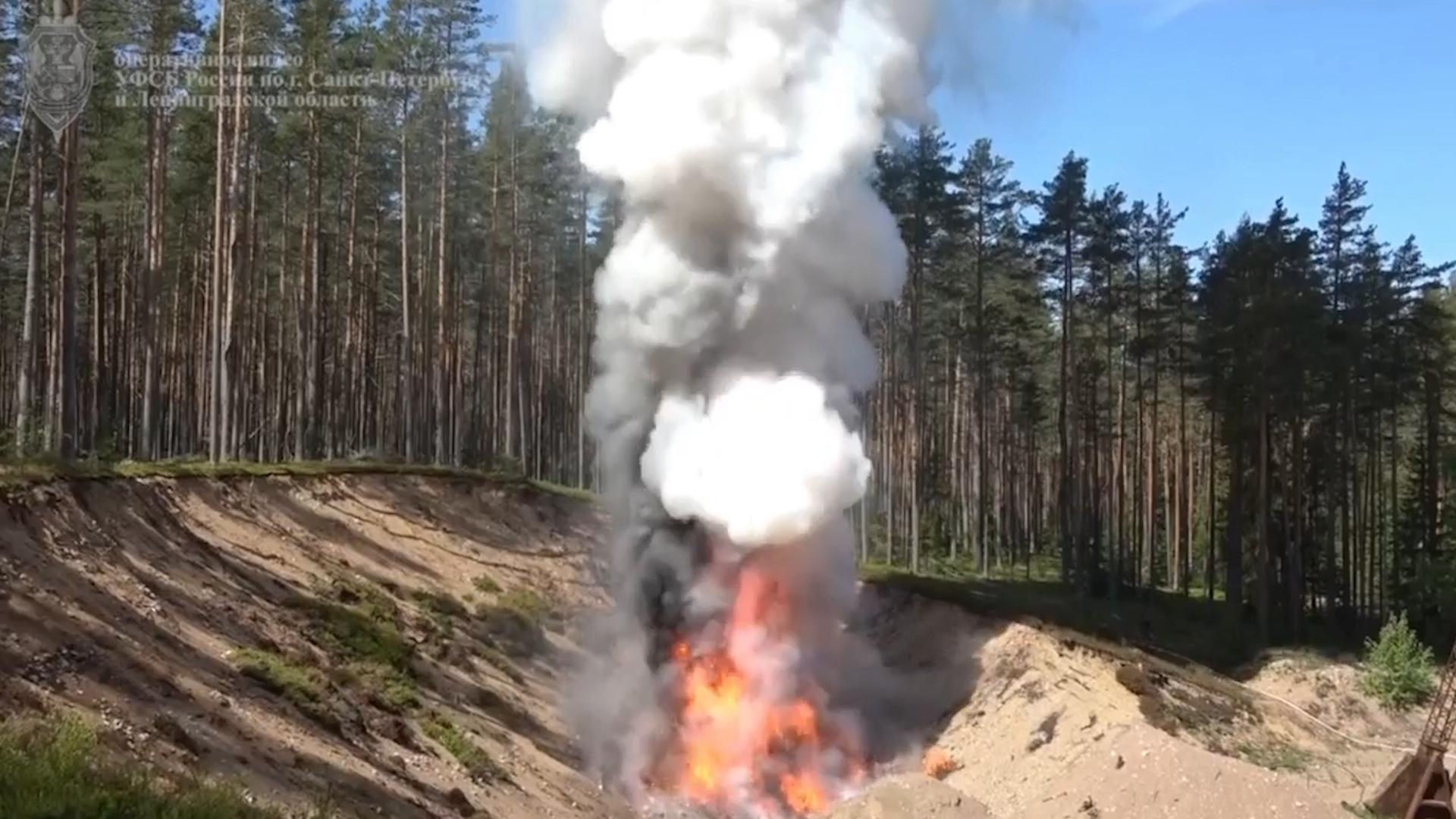 В Петербурге сожгли полтонны кокаина. Видео