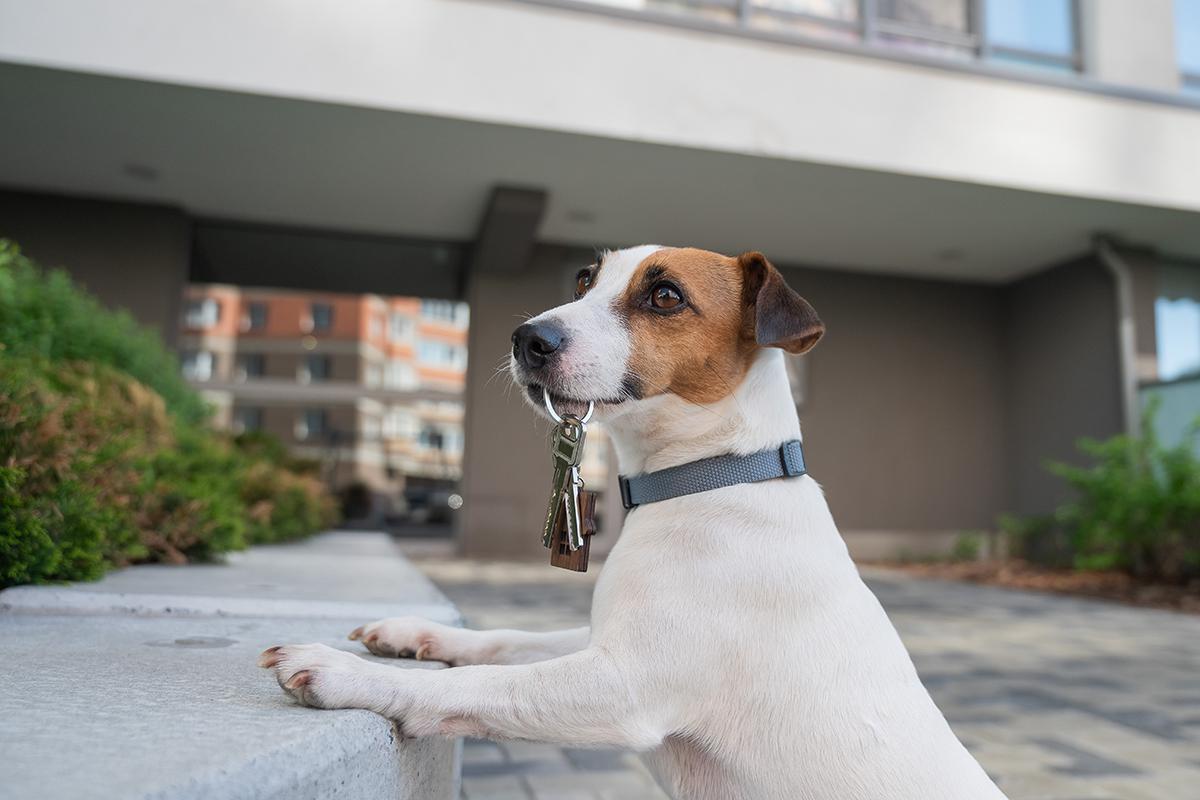 Фото: Pupsiki / Shutterstock / FOTODOM