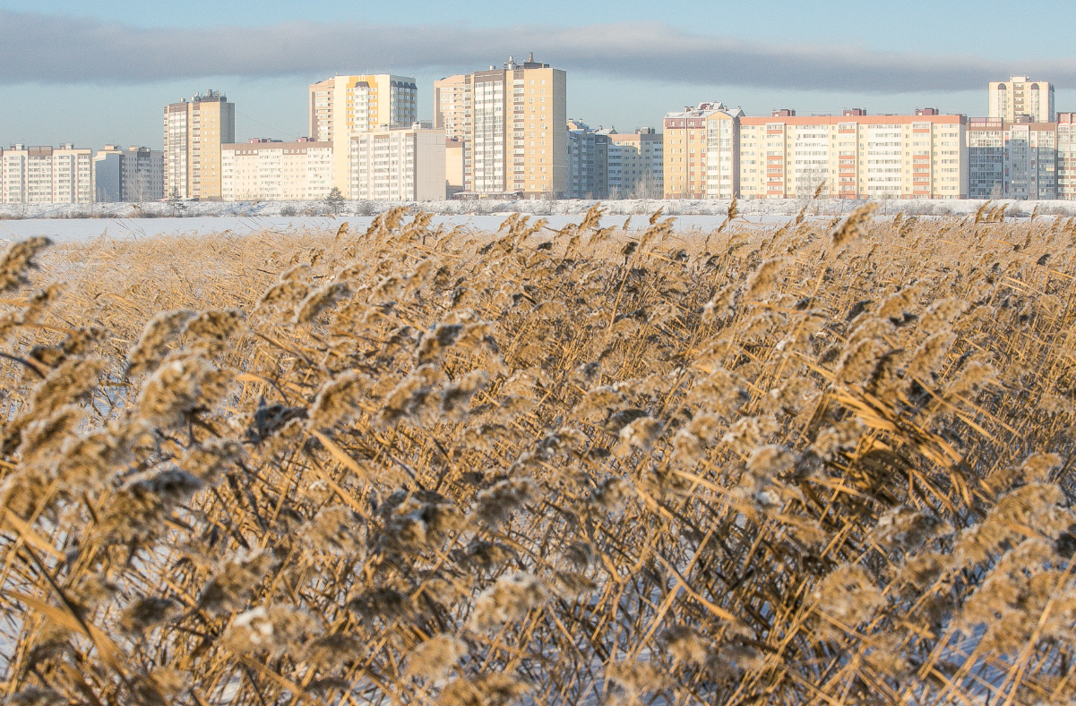 Фото: Денис Моргунов / РИА URA.RU 