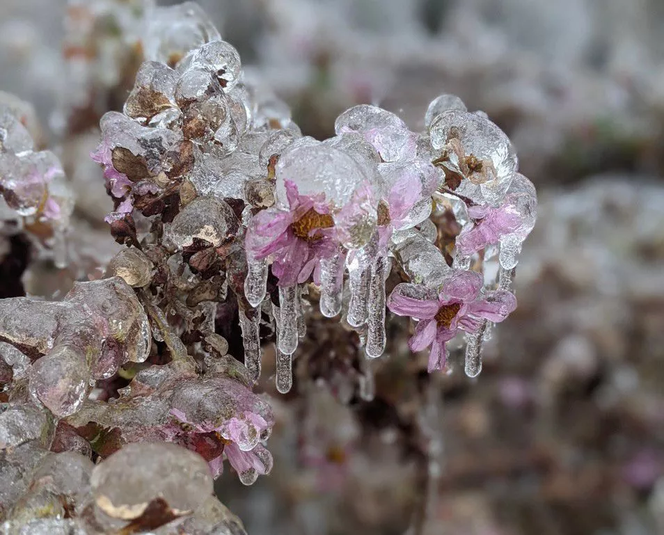 РБК Приморье