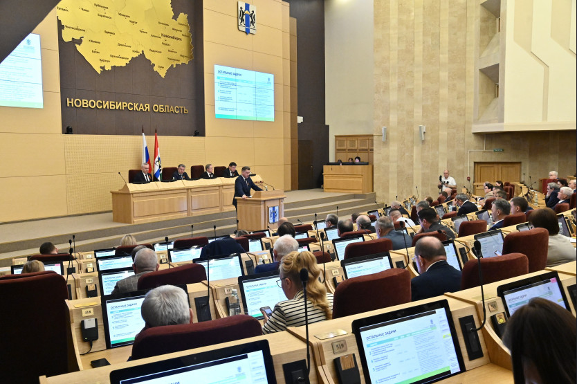 Фото: пресс-служба правительства Новосибирской области