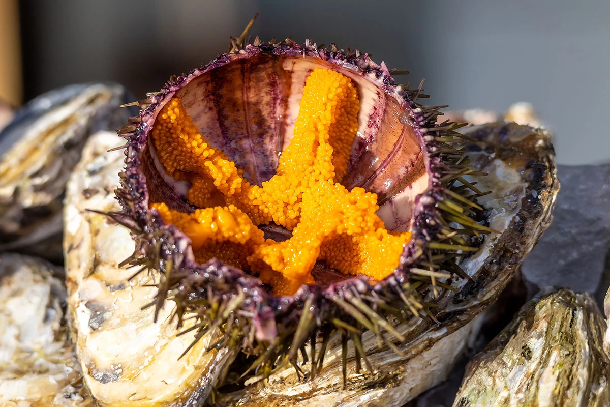 Путь к гедонизму: как еда и вино помогают путешествовать осмысленнее