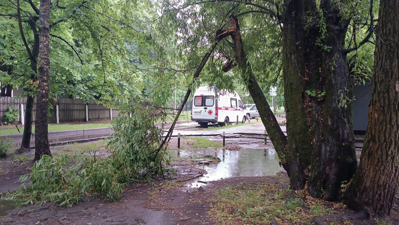 Фото: администрация Калининграда