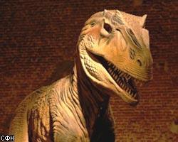 В Корее найден самый крупный зуб динозавра