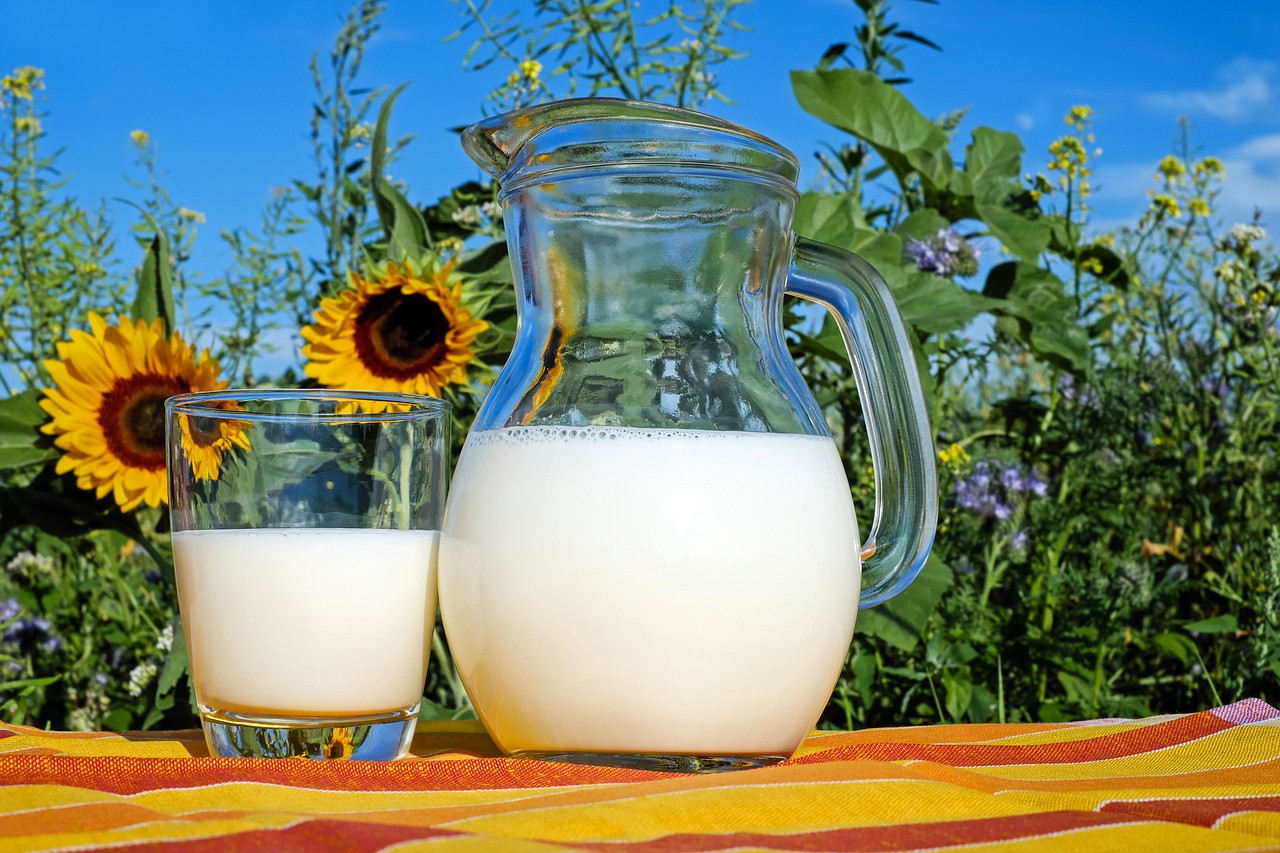 Кубань в январе-октябре 2019г. заняла 1 место по выпуску питьевого молока