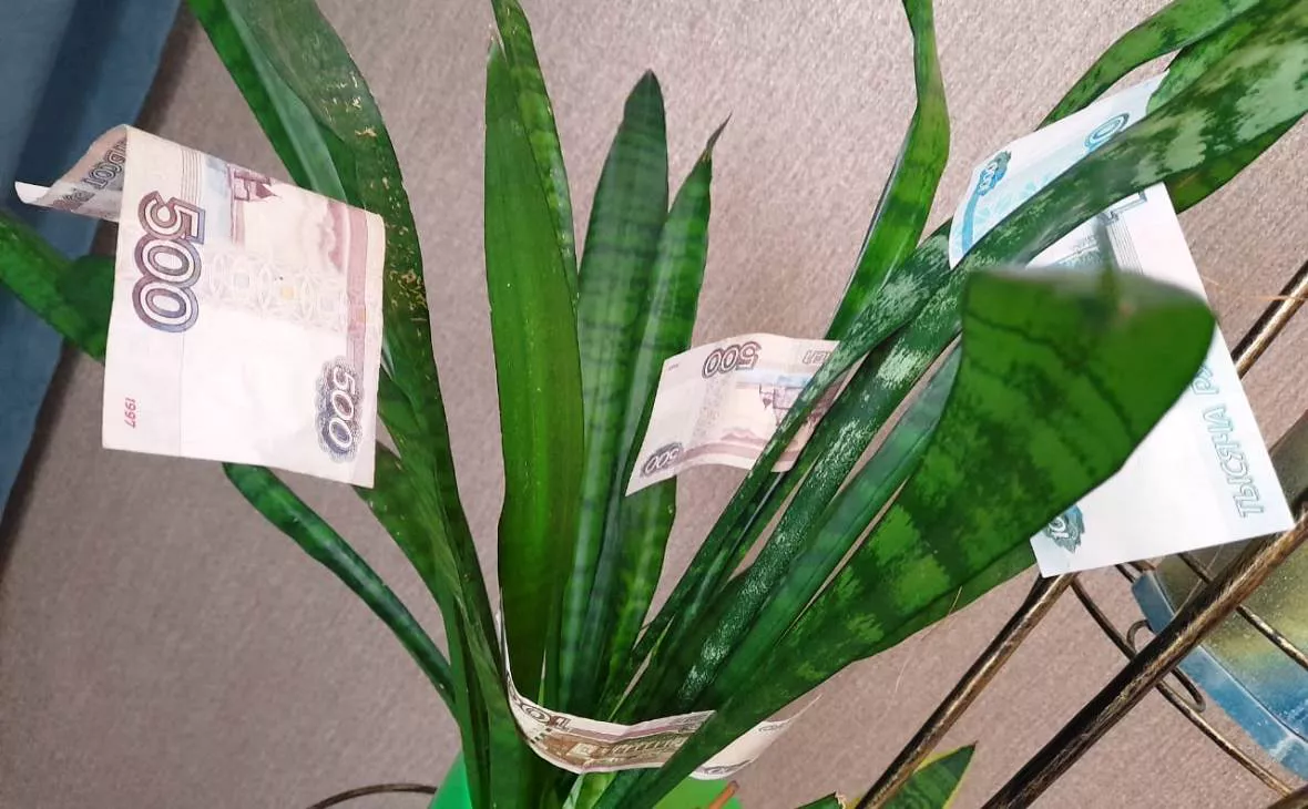 РБК Черноземье