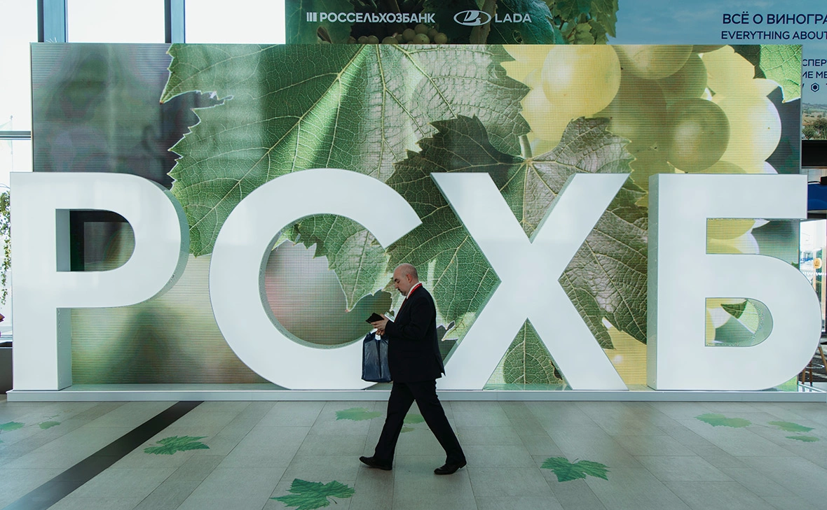 Михаил Гребенщиков / РБК