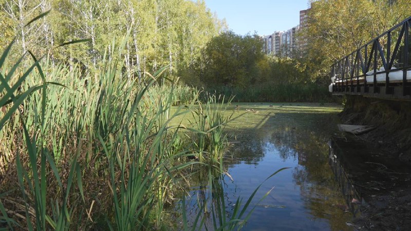 Пойма реки Каменка