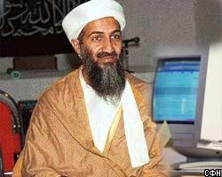 Талибы обеспечили бен Ладену доступ в Интернет