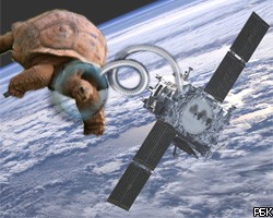 М.Ахмадинежад запустил в космос черепах (фото)