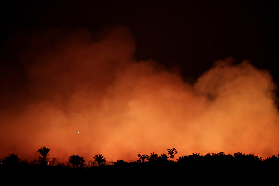 Экологические активисты обвиняют в случившемся политику Болсонару, объясняя лесные пожары активной вырубкой. Президент в ответ заявил, что за пожарами могут стоять сами &laquo;зеленые&raquo;.