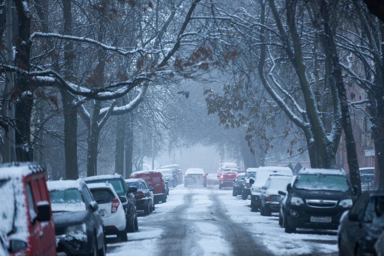 Александр Подгорчук