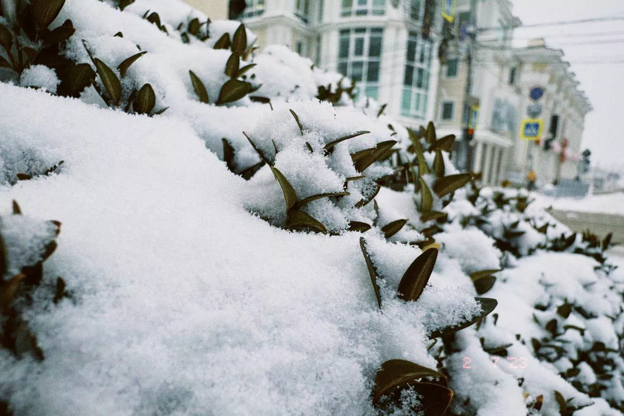 Анастасия Батаршинова / РБК Краснодар 